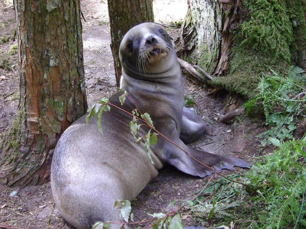 Catlins Newhaven Holiday Park Owaka Zewnętrze zdjęcie