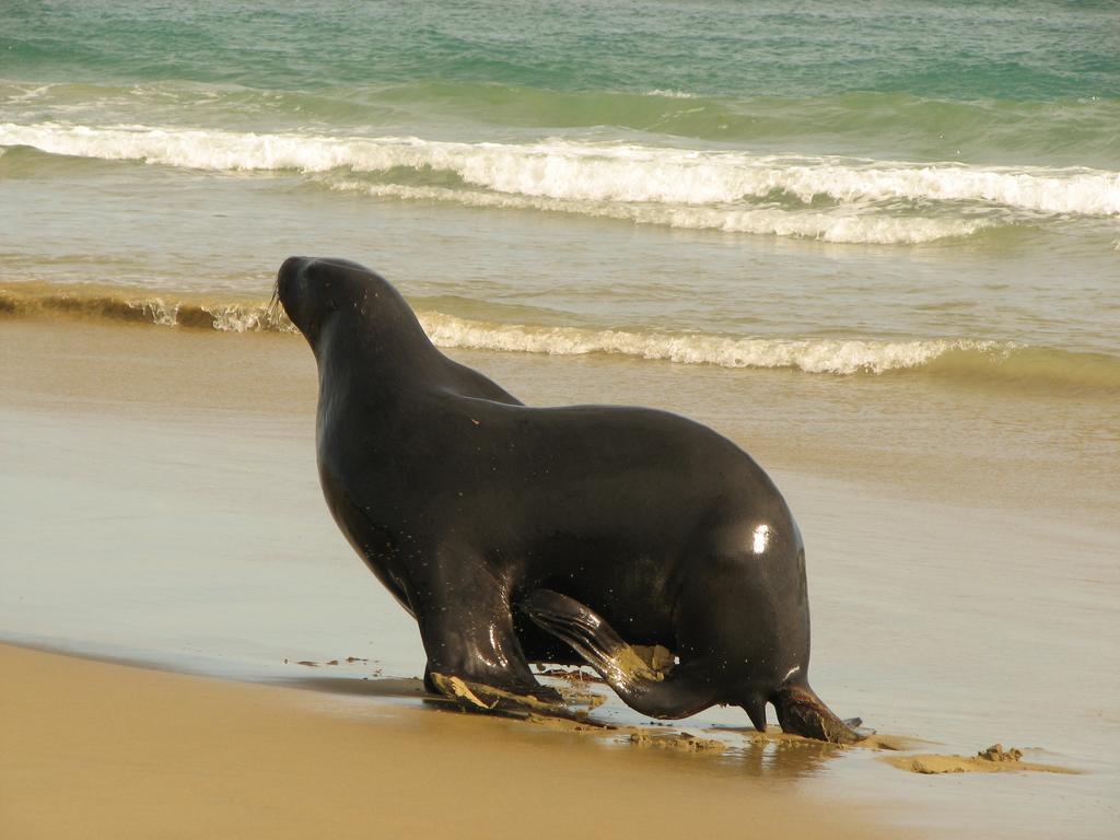 Catlins Newhaven Holiday Park Owaka Pokój zdjęcie