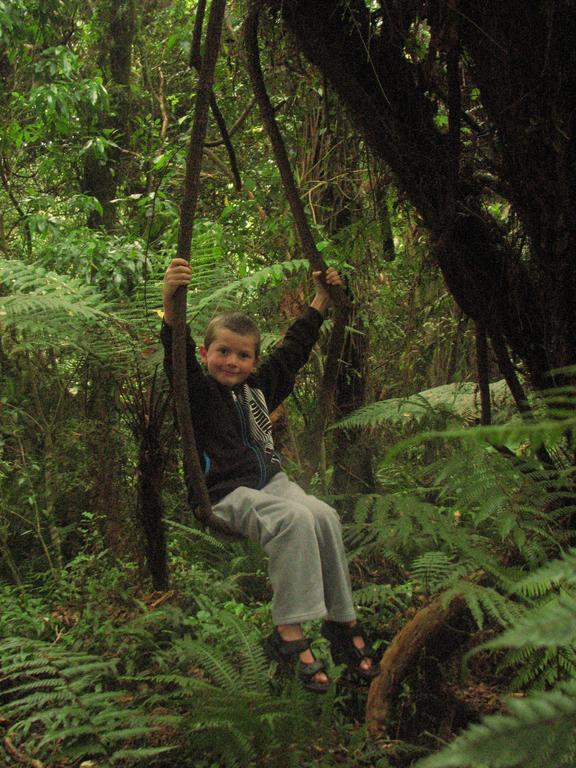 Catlins Newhaven Holiday Park Owaka Pokój zdjęcie