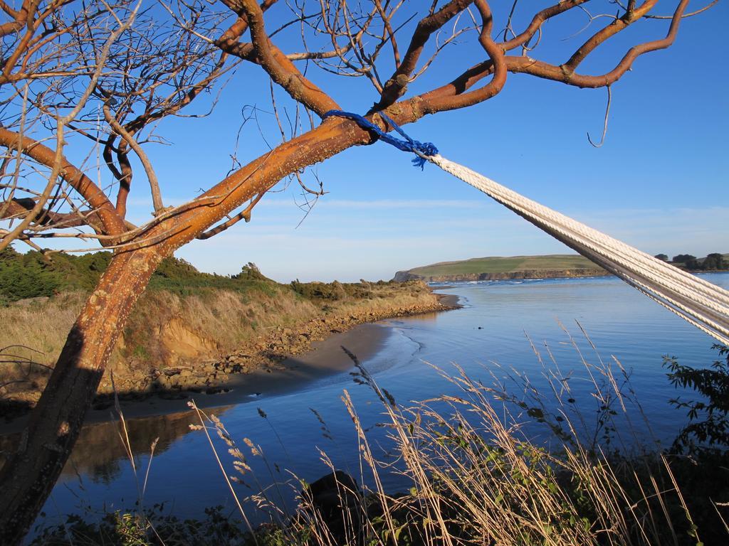 Catlins Newhaven Holiday Park Owaka Pokój zdjęcie