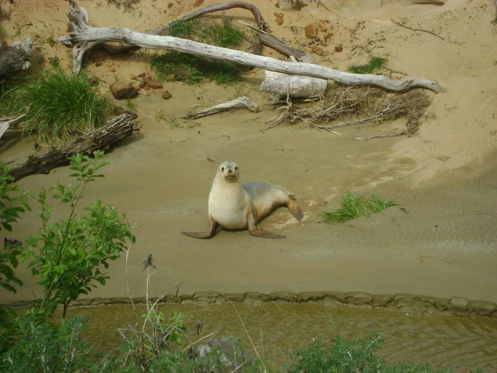Catlins Newhaven Holiday Park Owaka Zewnętrze zdjęcie