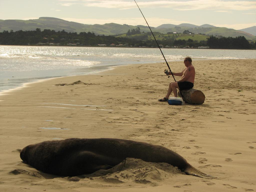 Catlins Newhaven Holiday Park Owaka Zewnętrze zdjęcie