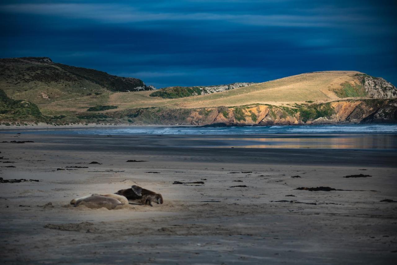 Catlins Newhaven Holiday Park Owaka Zewnętrze zdjęcie